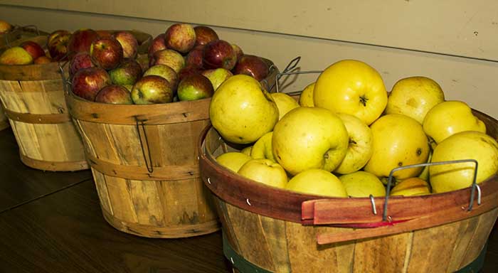 Apples pears fresh fruit Orcas Island